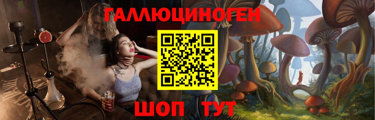 Галлюциногенные грибы Cubensis  Вход с VPN  Клин 
